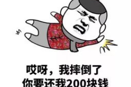 凭祥融资清欠服务